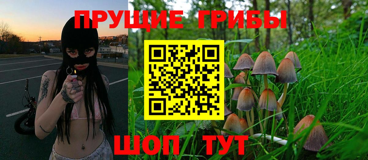 Псилоцибиновые грибы мухоморы  Галлюциногенные грибы Cubensis  Вход с VPN  Моздок 