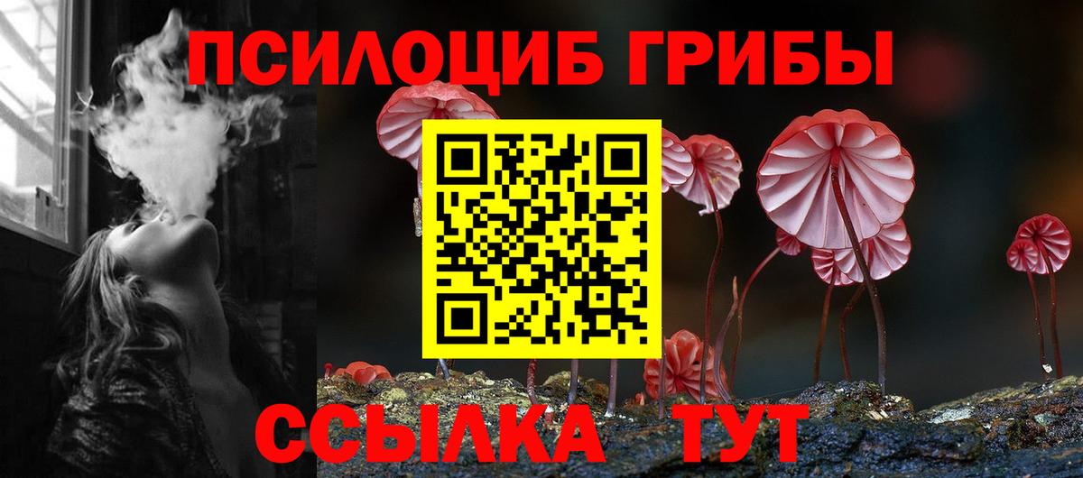 Галлюциногенные грибы ЛСД Моздок